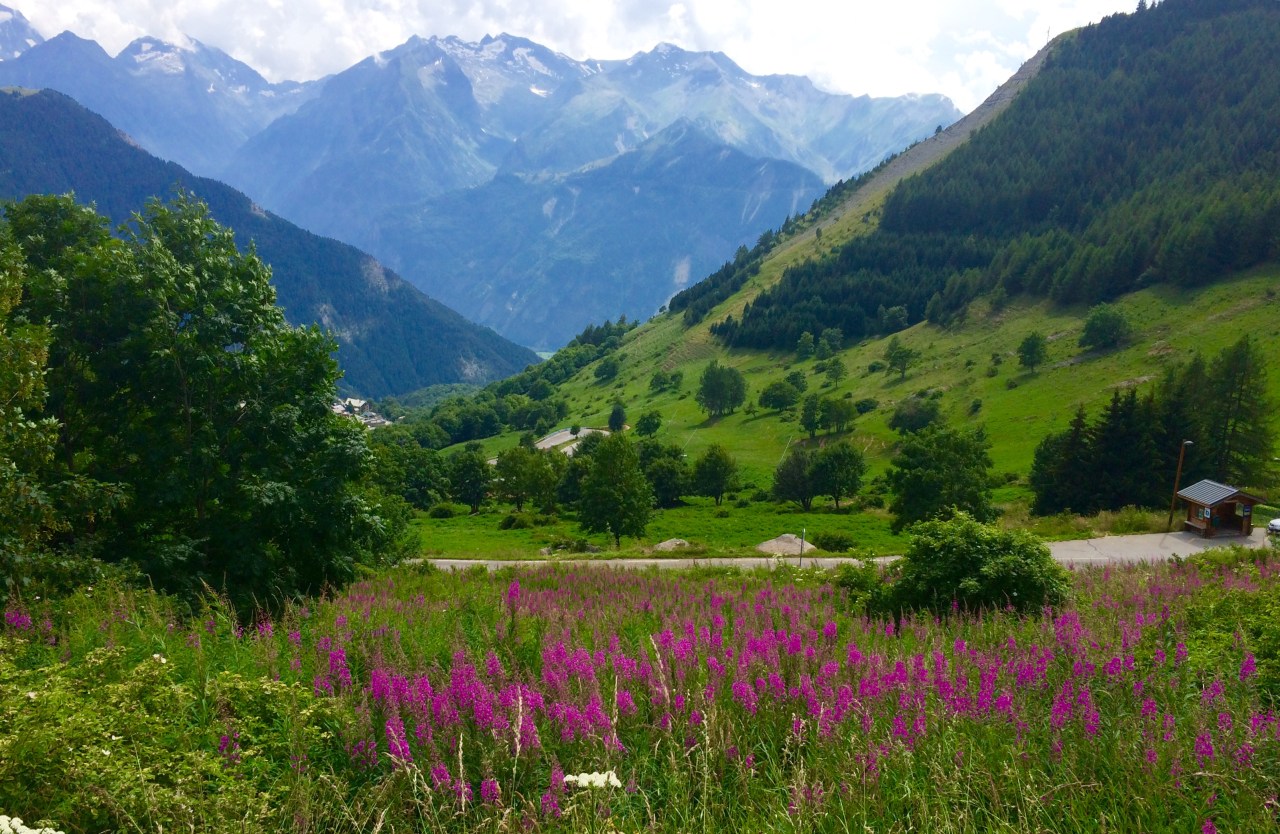 The Scenic Hurt Locker