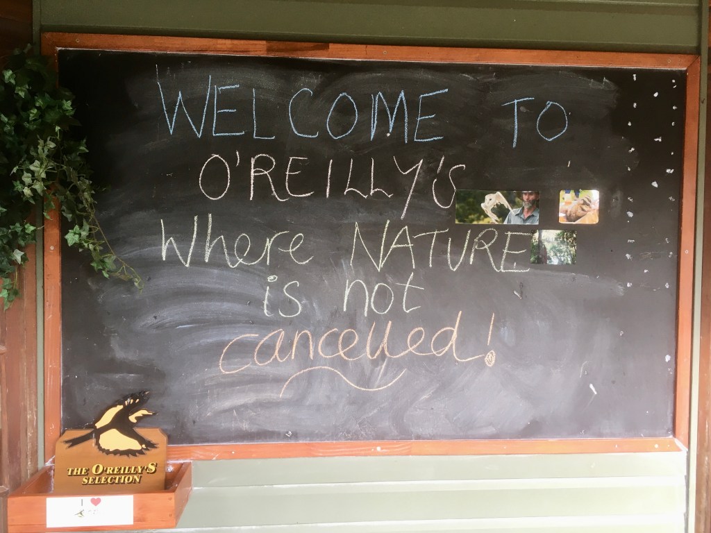 085322F4-1A52-4B00-8550-20C4685CD245_1_201_a