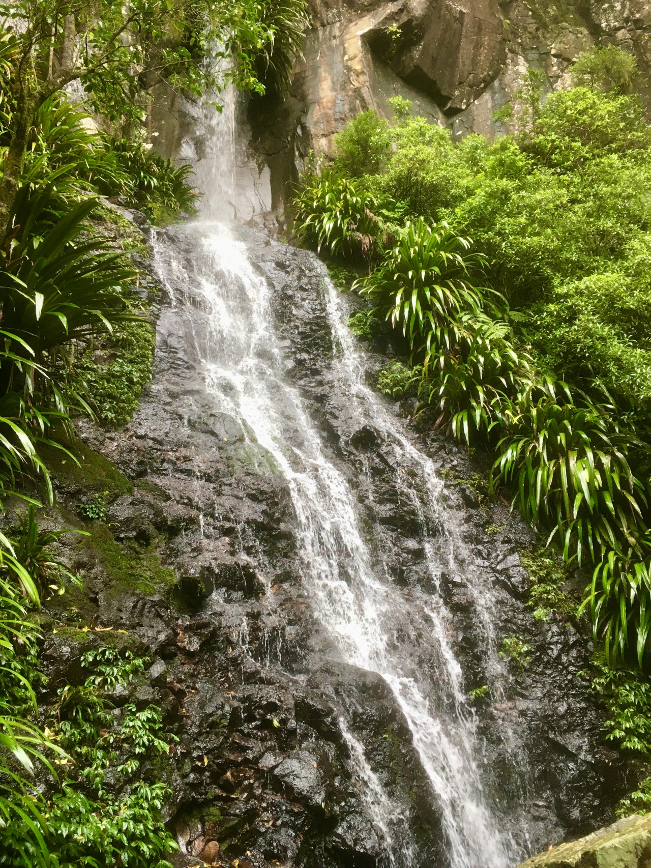Moist and tasty Lamington – the Hiker’s&nbsp;recipe