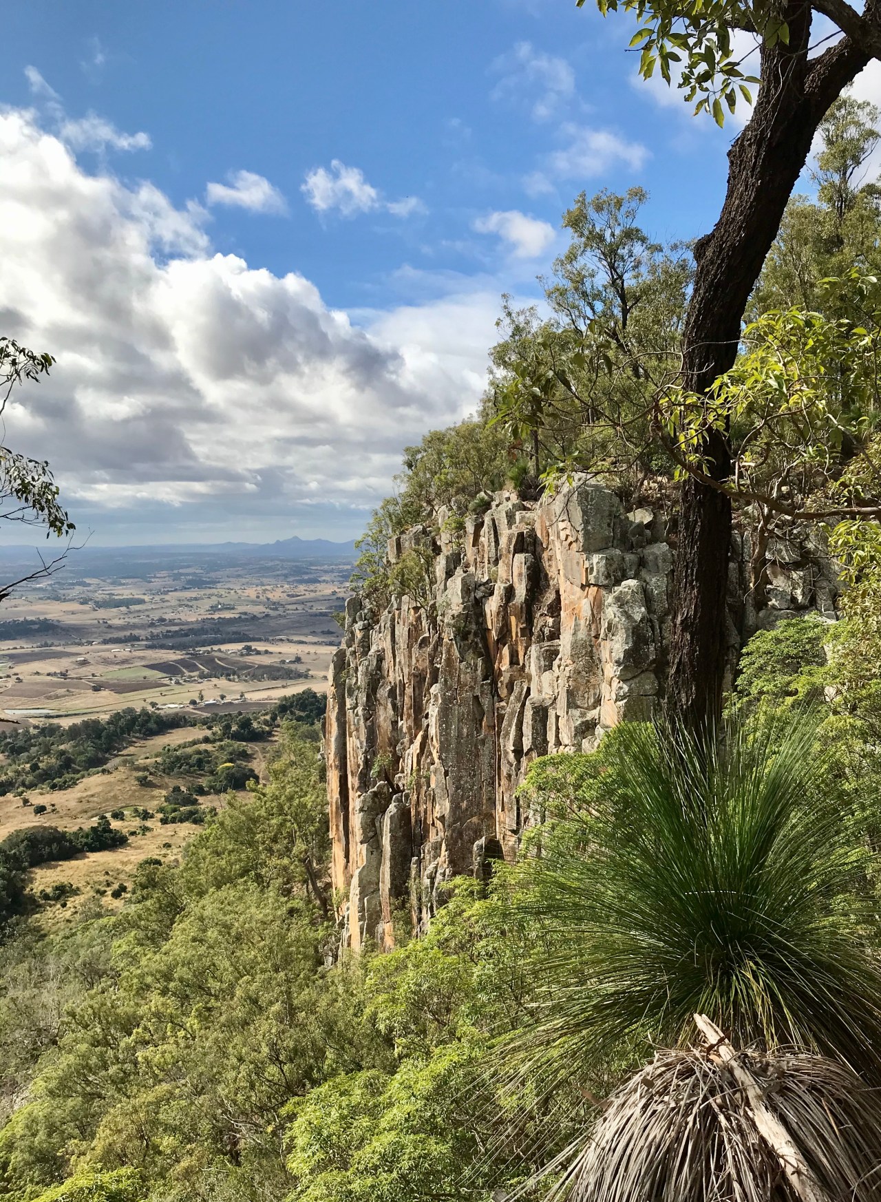 Back to Moogerah Peaks&nbsp;NP.